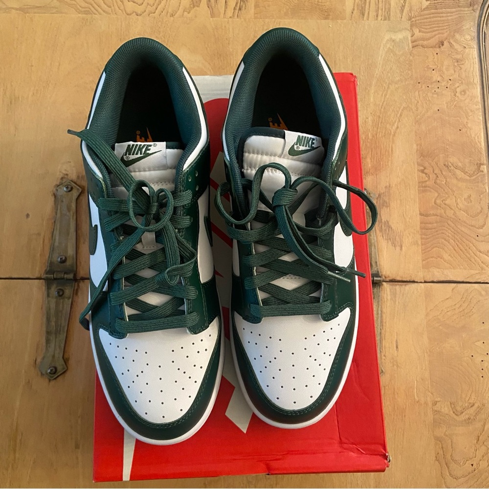 Nike Dunk Low  Retro Sneakers.never worn
